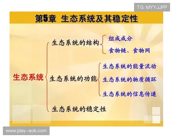 弹性供给架构应对市场波动，保持系统稳定性