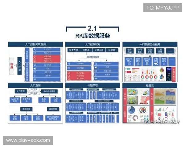 数据驱动文化深入人心，赋能团队精准决策